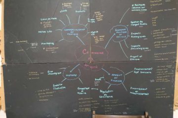 Carte mentale Montessori cycle 4